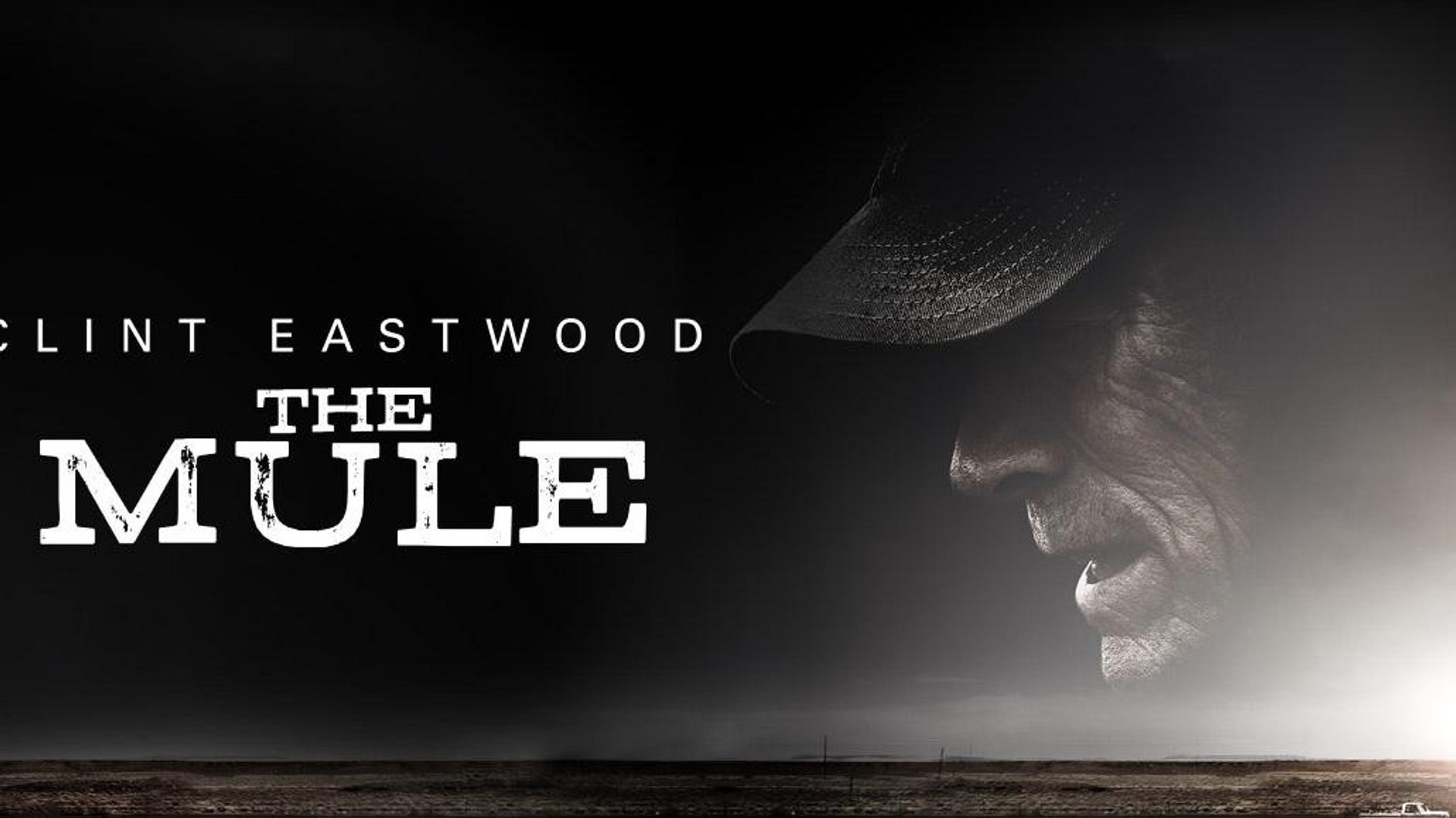 The Mule (2018)