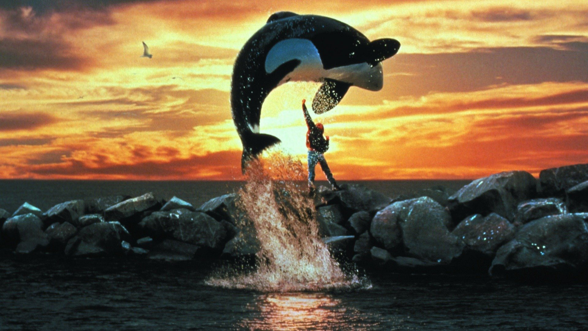 Free Willy - Pelastakaa Willy 2