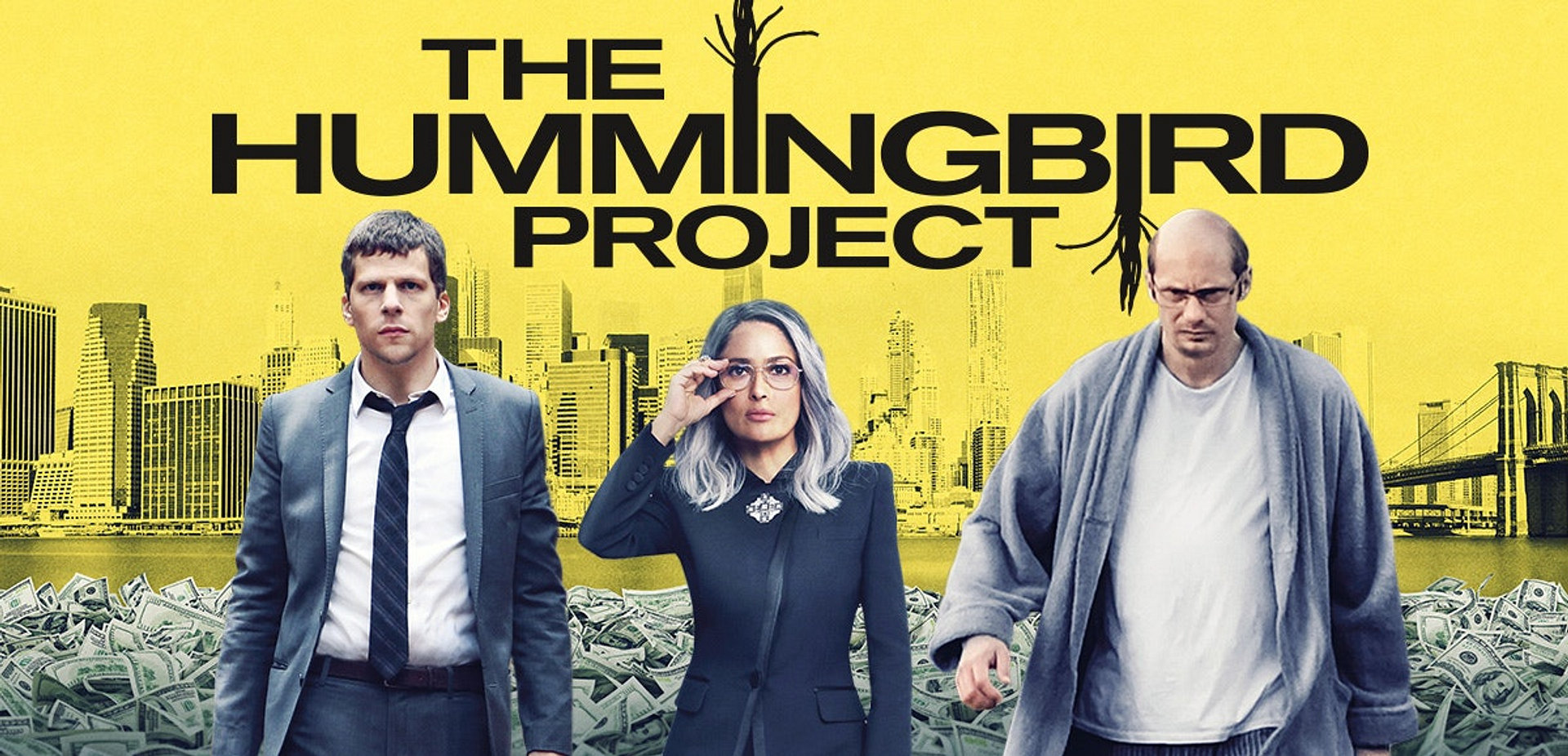 The Hummingbird Project