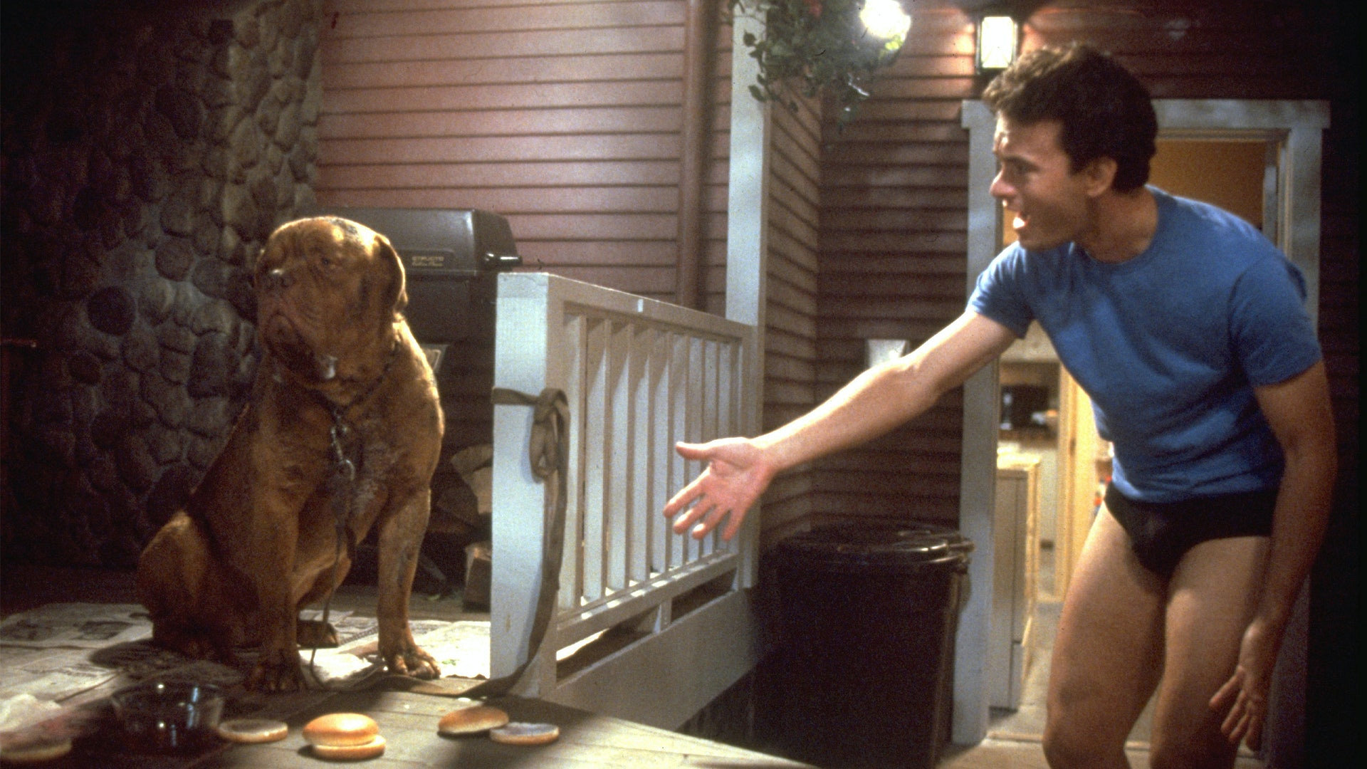 Turner & Hooch