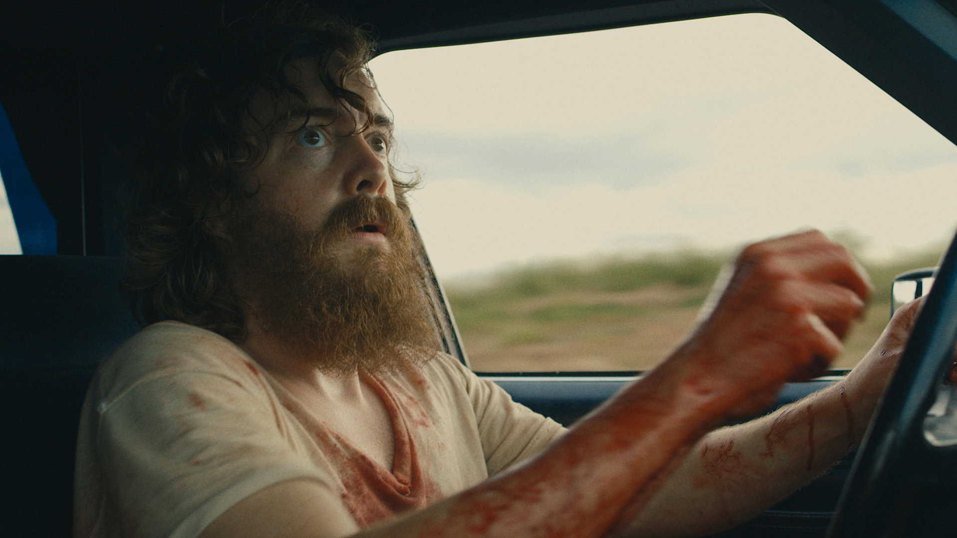 Blue Ruin