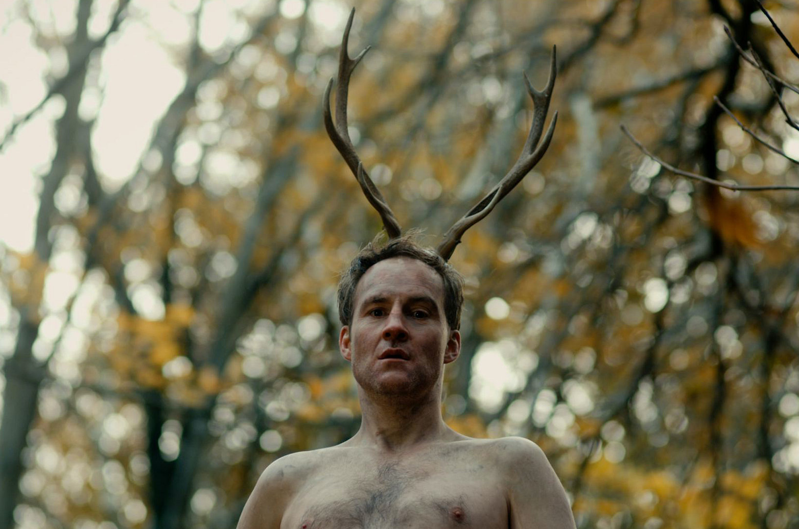 The Stag