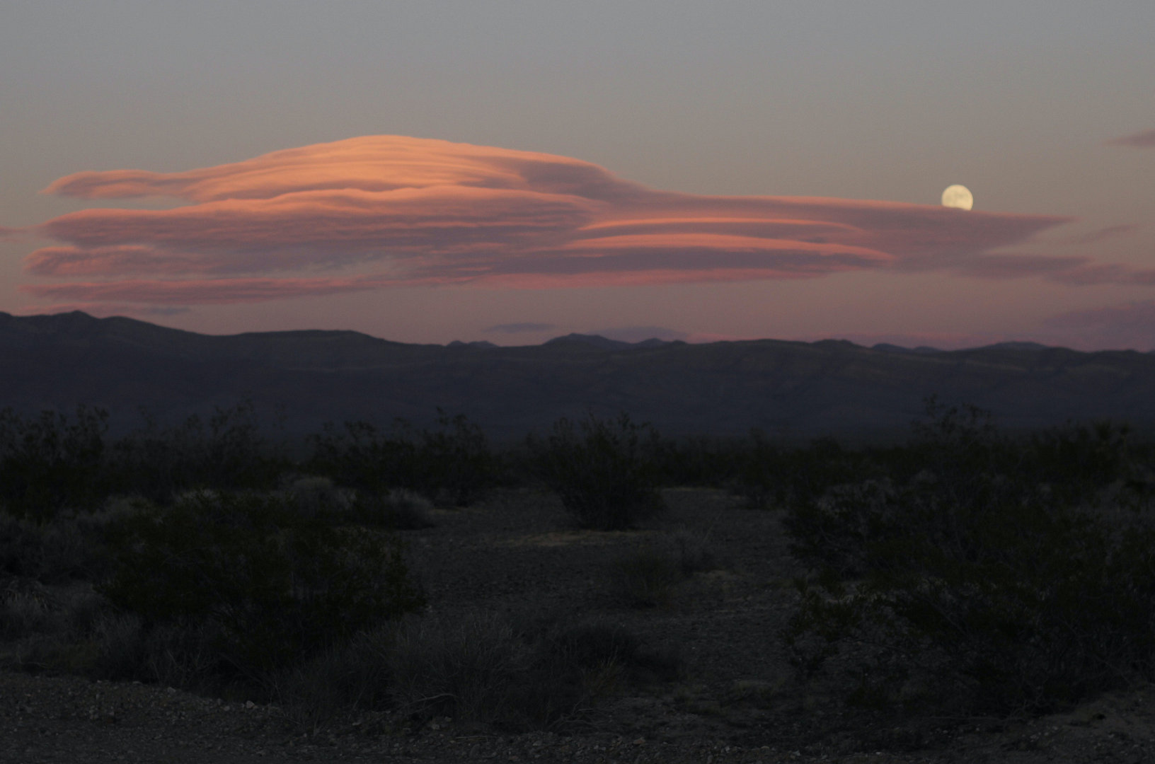 It Stains the Sands Red