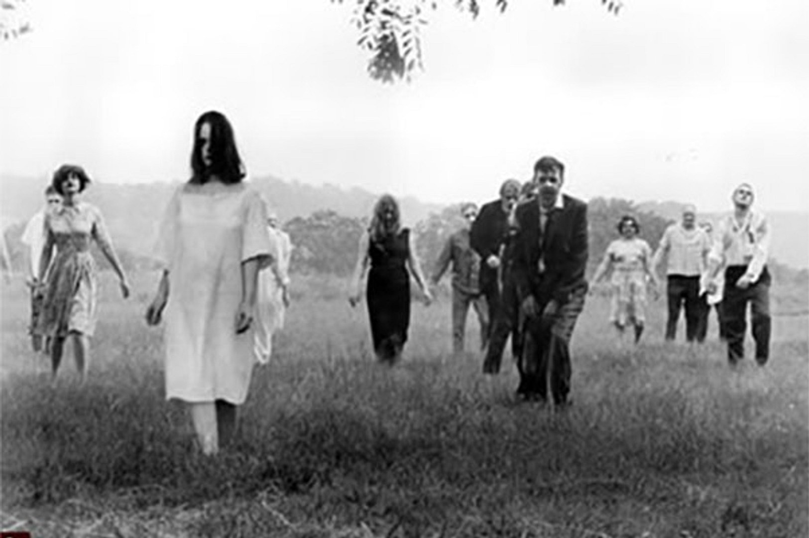 Night of the Living Dead