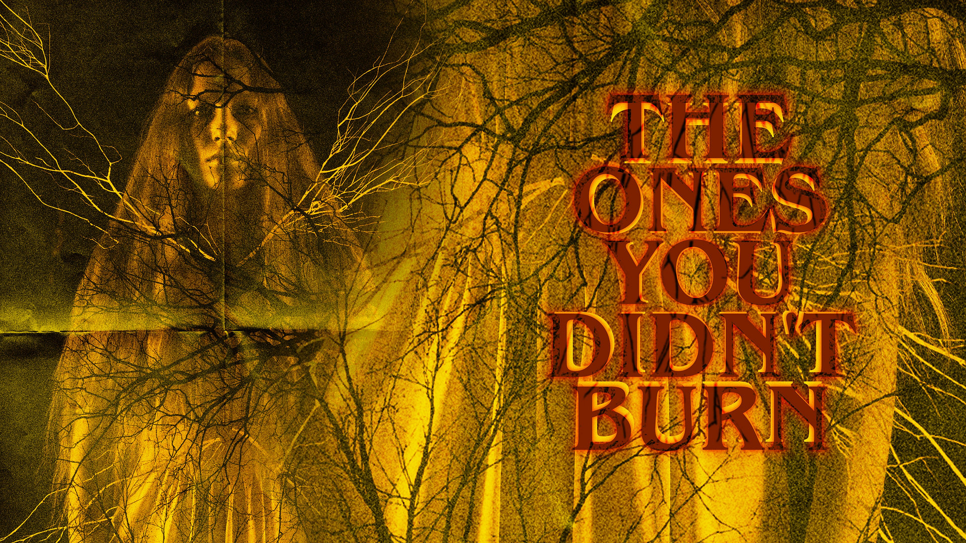 The Ones You Didn’t Burn