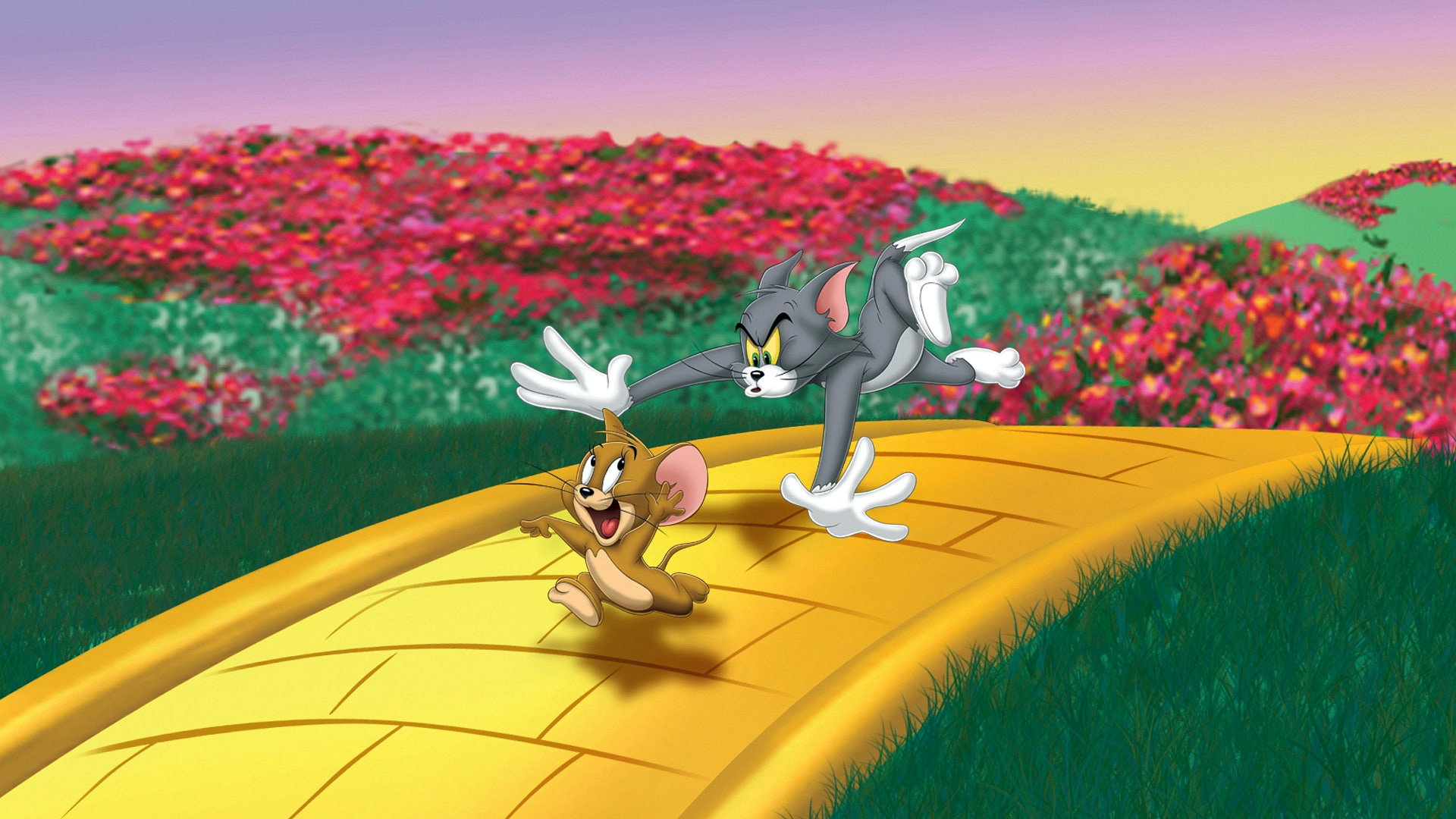 Tom & Jerry Wizard of OZ