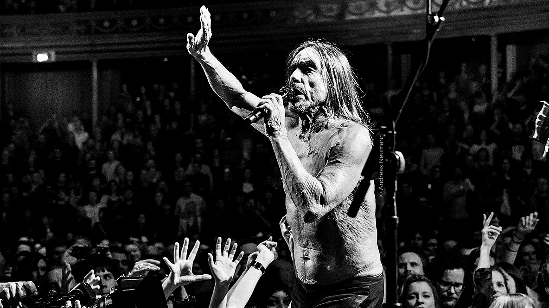 Iggy Pop - Live at the Royal Albert Hall