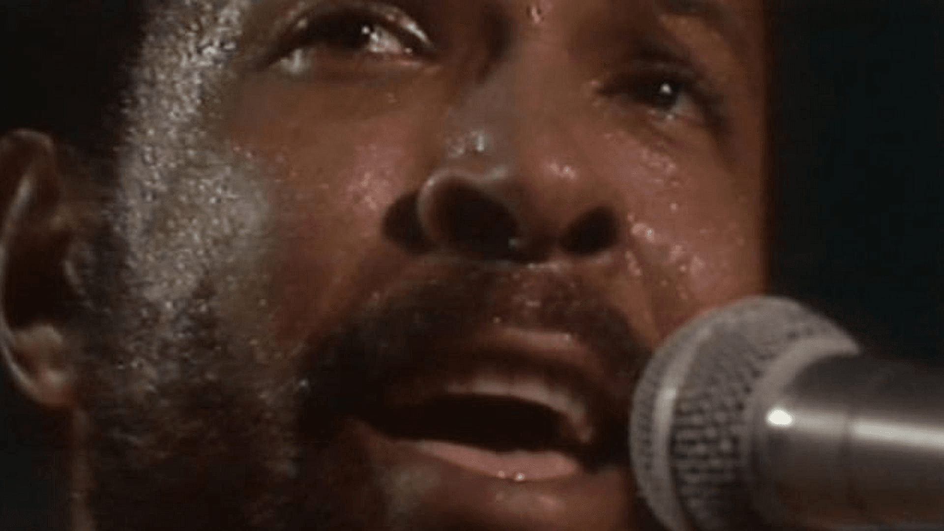 Marvin Gaye - Live in Amsterdam 1976