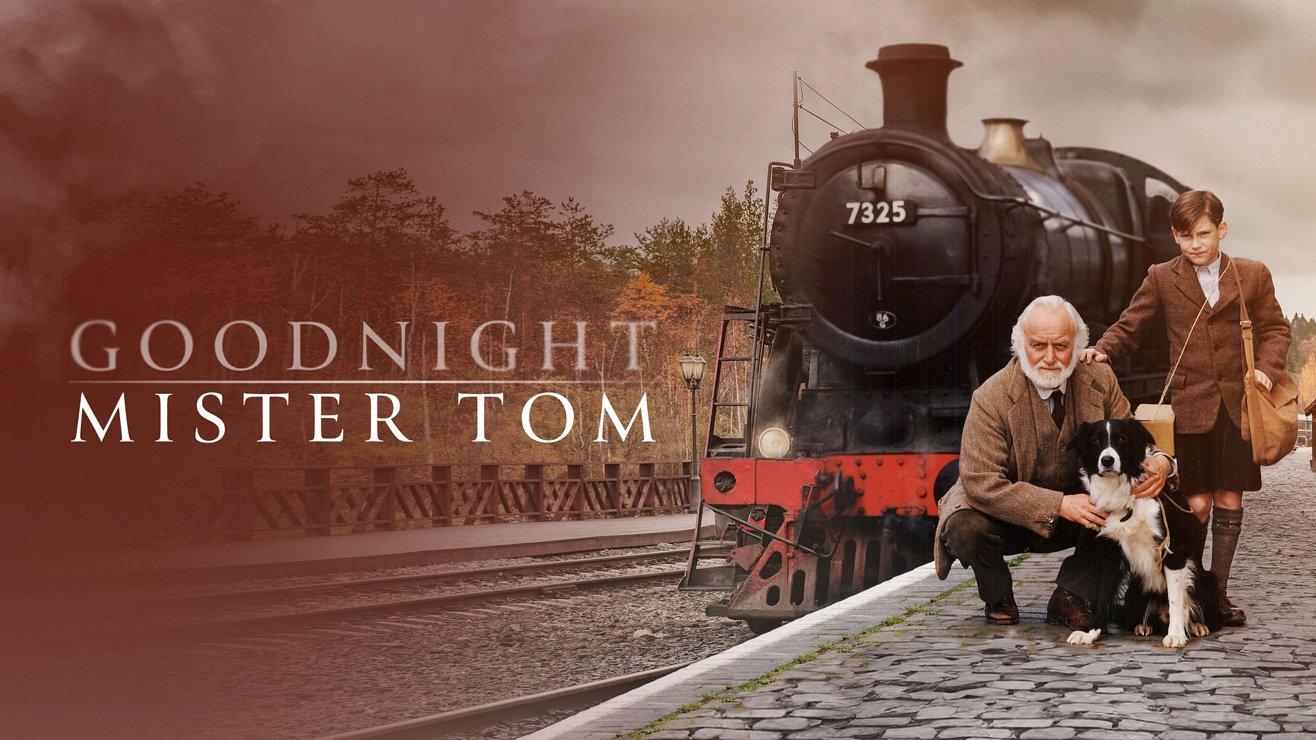 Goodnight Mister Tom