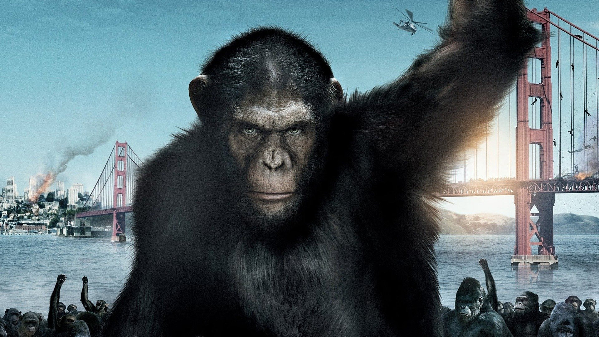 Rise of the planet of the apes