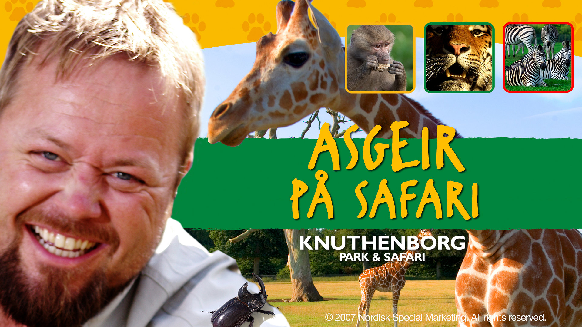 Asgeir på safari