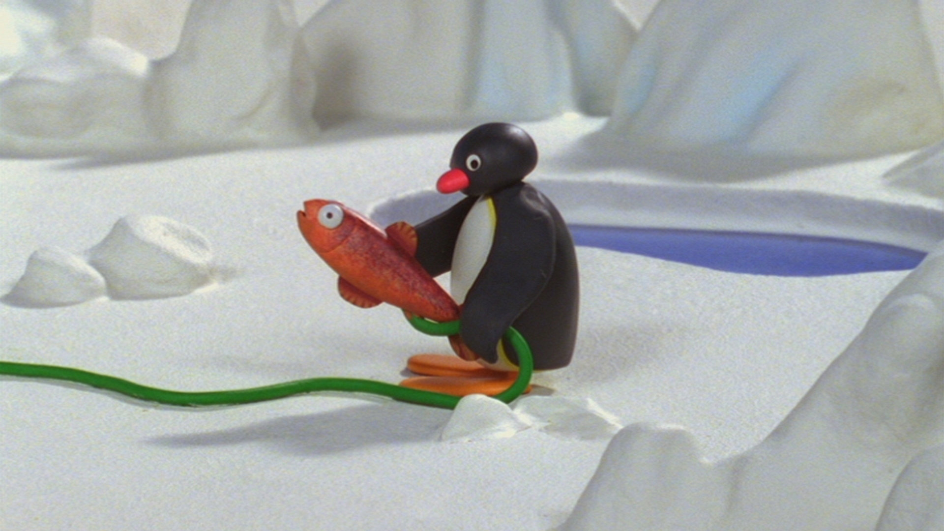 Pingu på akeskole