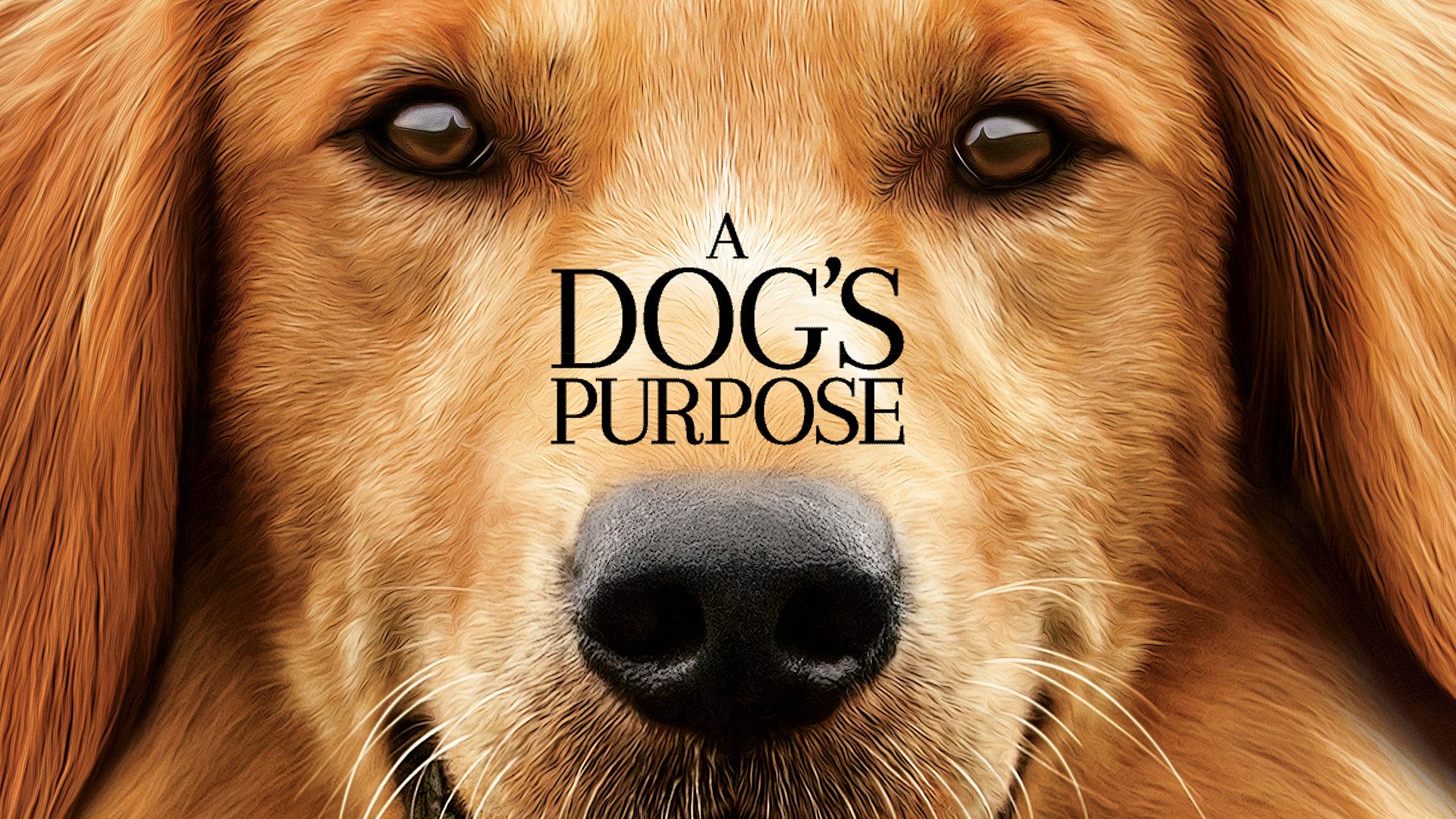 A Dog's Purpose