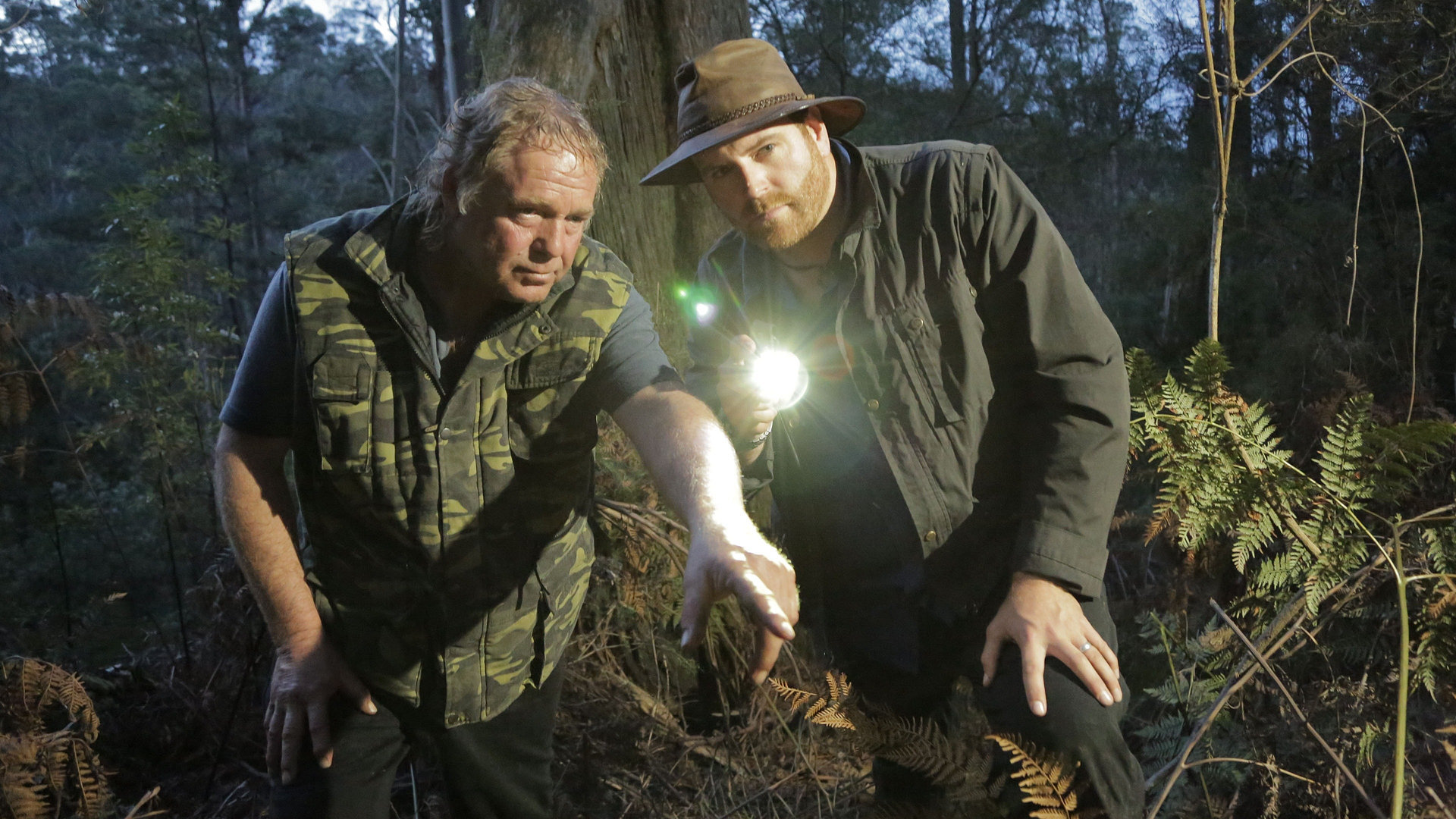 Tracking Tasmania's Tiger