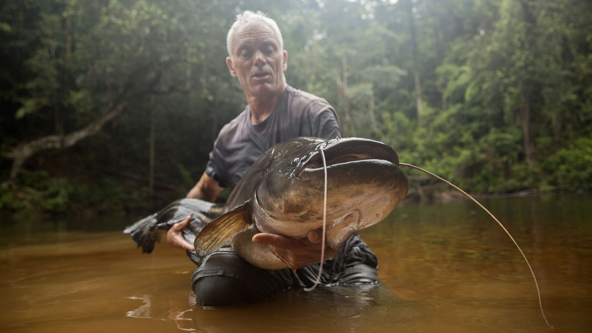 Malaysian Lake Monster