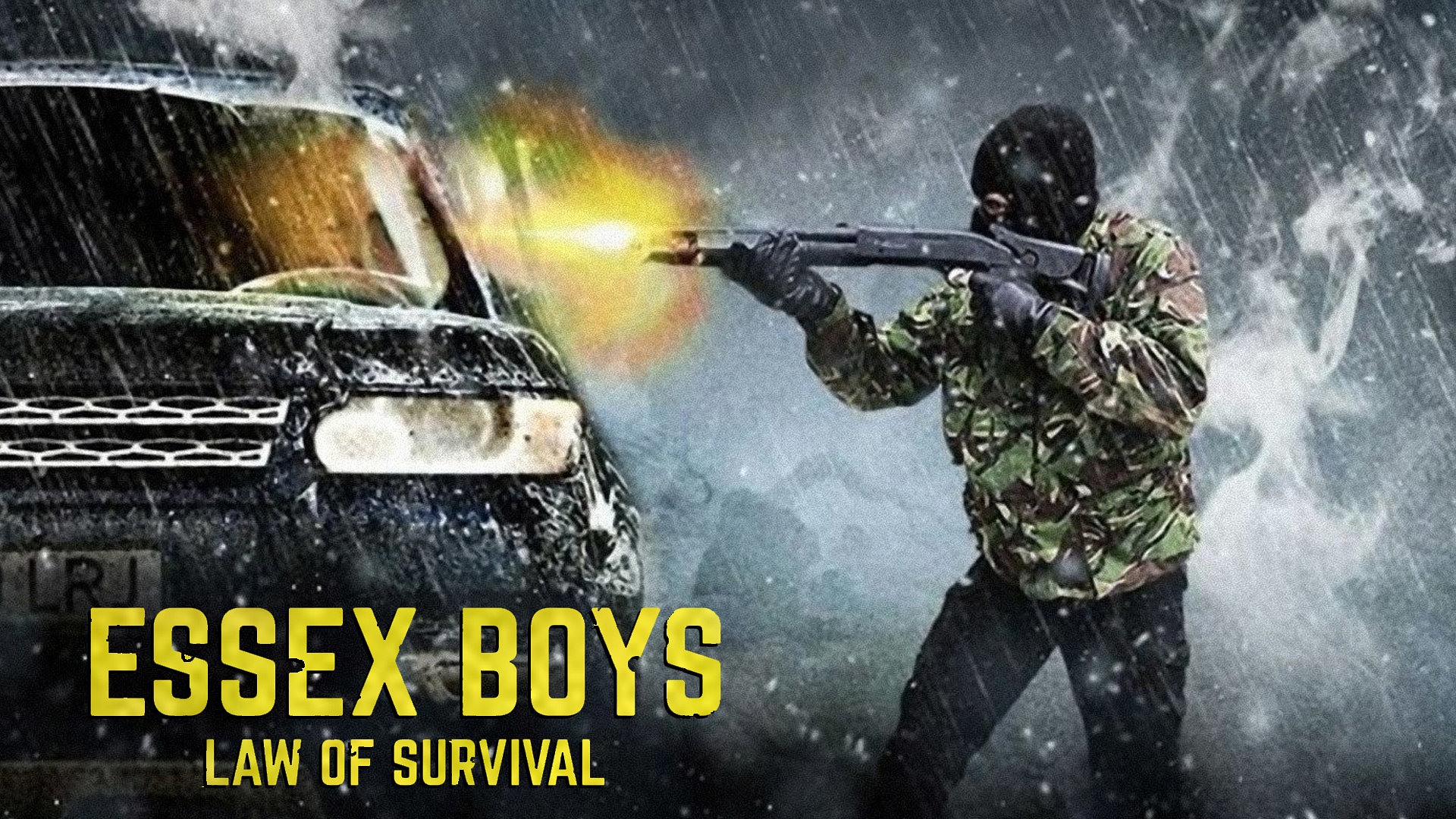 Essex Boys: Law of Survival