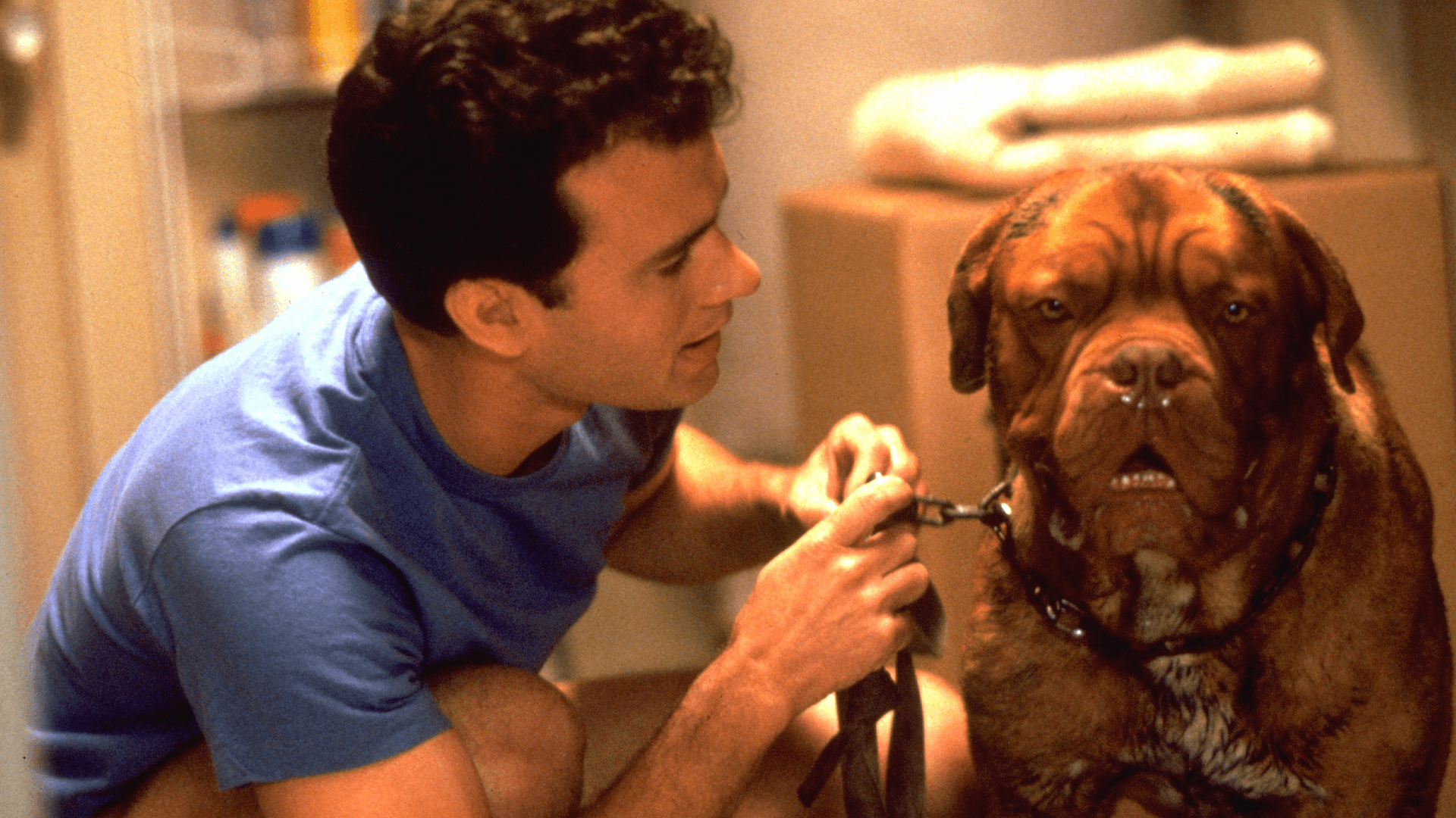 Turner & Hooch