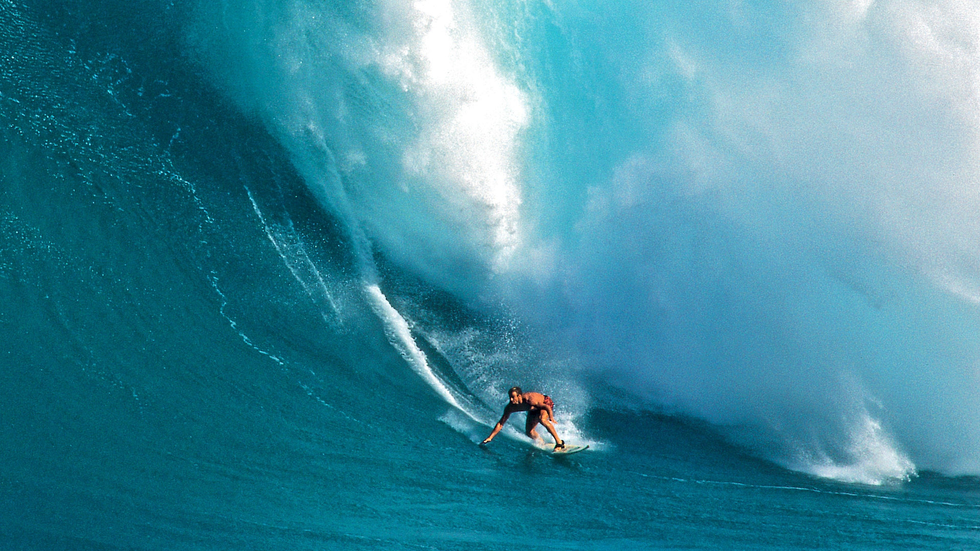 Take Every Wave: The Life of Laird Hamilton