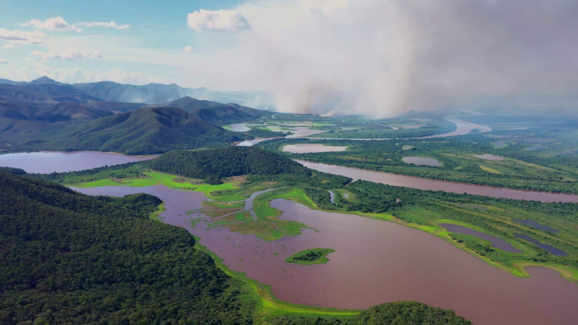 Pantanal - naturens mirakel i Brasilien