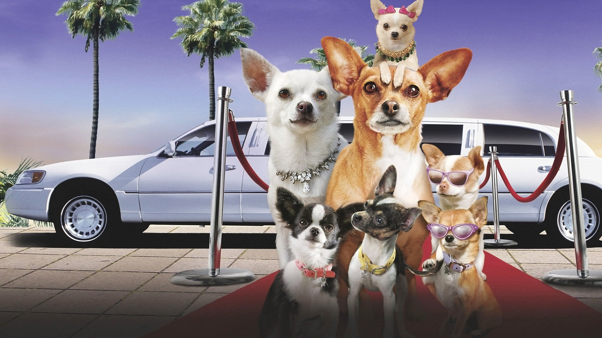 Beverly Hills Chihuahua 2