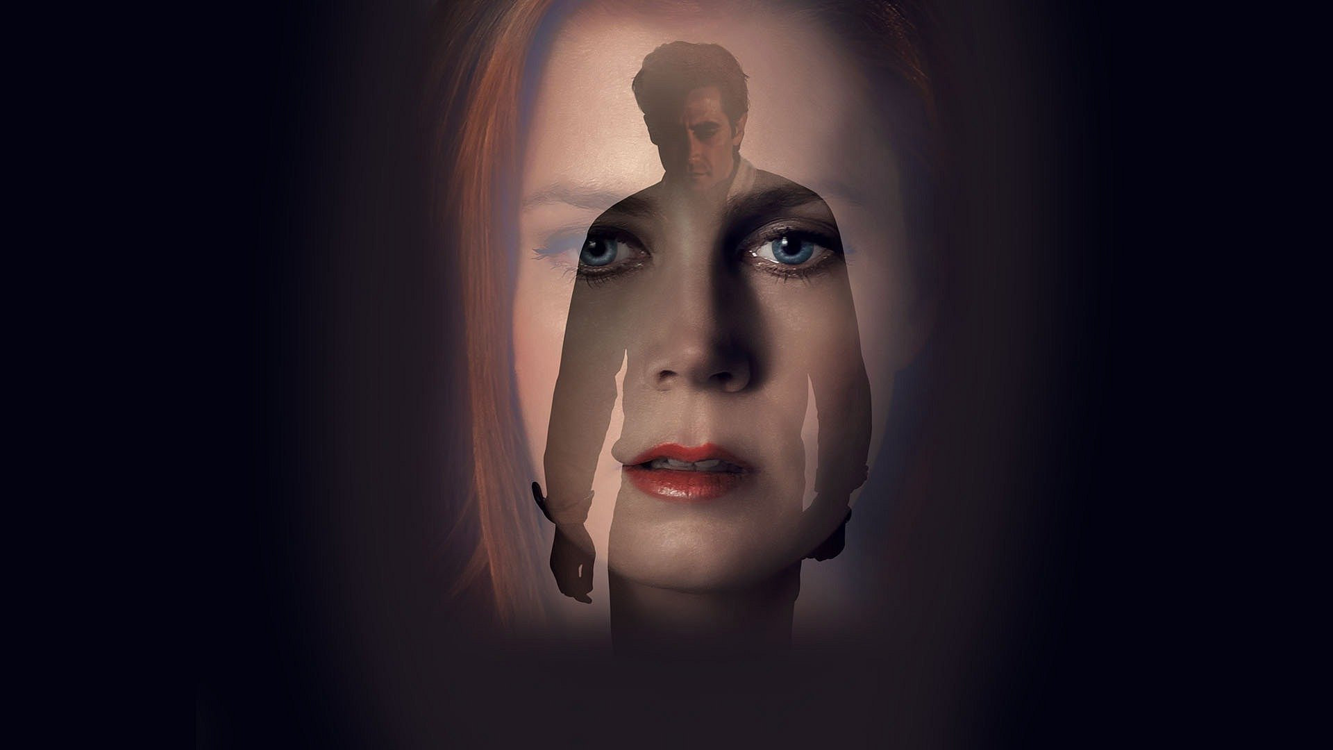 Nocturnal Animals